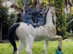 -瑞丽独树成林风景区