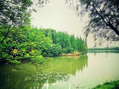 -艾溪湖湿地公园
