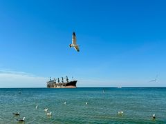 -那香海钻石沙滩浴场