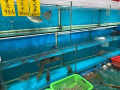 水产区-崖口红树林海鲜餐厅