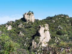 -大岭沟猕猴桃谷风景区