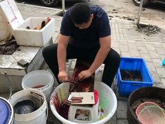 -铜元老码头鳝鱼火锅