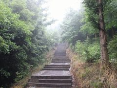-凤栖山