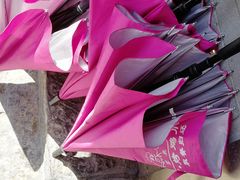 -芙蓉泉·烤鸡爪(芙蓉街店)
