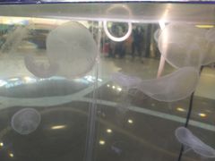 -保利MALL(天鹅湖店)