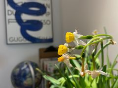 -FULL MOON满月咖啡