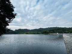 -番禺大夫山森林公园