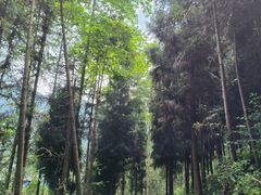 -红峡谷