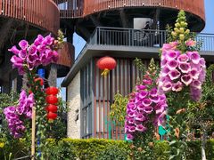 -芒洲湿地公园