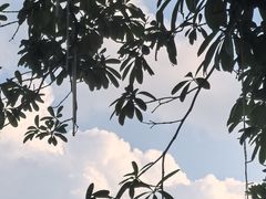 -优托邦(长兴路店)