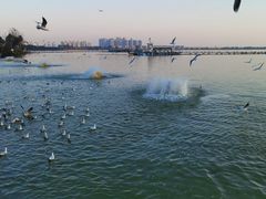 -滇池海埂公园