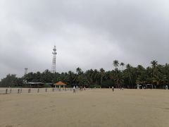 -东郊椰林
