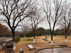 -南京市江宁方山