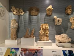 -重庆自然博物馆(新馆)