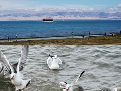 -青海湖国家重点风景名胜区