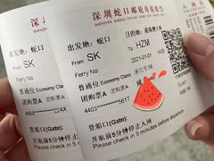 -招商蛇口邮轮母港(观光客运)