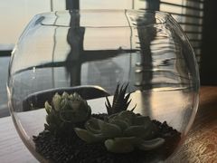 -北京威斯汀酒店