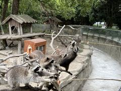 -宁波野生动物园