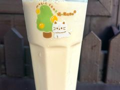 -猫的魔法密林(衣裳街店)