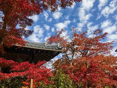 -常寂光寺