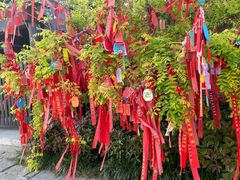 -东台西溪天仙缘景区