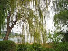 -济南国际园博园