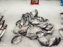 -欧尚(江阳中路店)