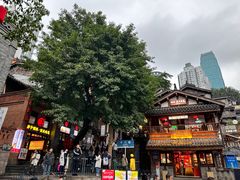 -重庆十八梯传统风貌区