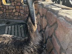 -J Create城市露营咖啡·简餐·宠物(上海动物园店)