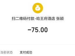 -王府酒店(兴华南街铁西百货店)
