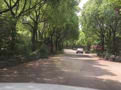 -安飞驰驾校·学车连锁(金高店)