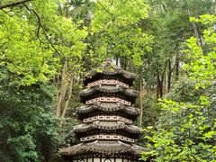 -深圳国际园林花卉博览园