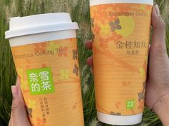 -奈雪的茶(正弘城PRO+店)