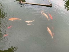 -陈云纪念馆