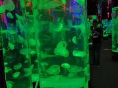 -成都浩海立方海洋公园