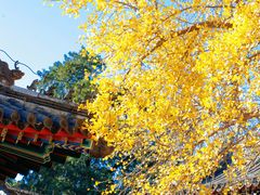 -承恩寺