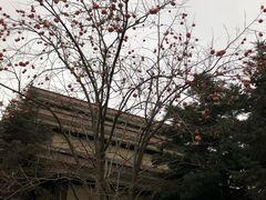 -金石唐风国际温泉会馆