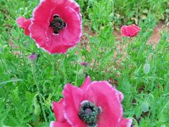 -盘龙城国家考古遗址公园