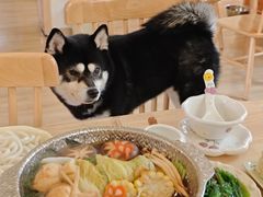 -柴の食堂·日式家庭料理·熊之肆(大学路店)