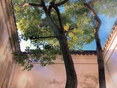 -乌镇东栅景区