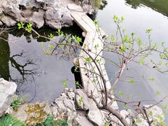 -艺圃