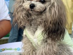 -上海神旺大酒店