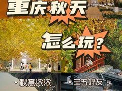 -埠口精酿夜景餐酒吧· BREWPORT BISTRO(长嘉汇重庆之眼店)