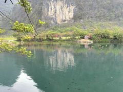 -靖西鹅泉风景区