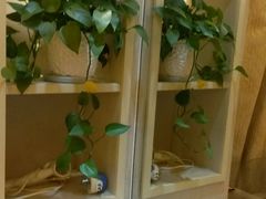 -维多利亚海景酒店公寓(栈桥火车站店)