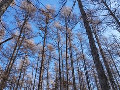 -长春净月潭风景名胜区