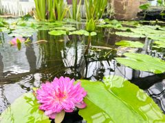 -国家植物园南园