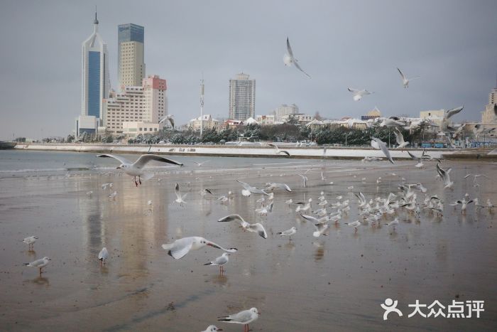 栈桥景区图片