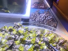 -聚盛源蒸汽海鲜火锅烤肉自助(巨川金海岸购物广场店)