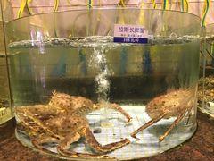 -新海利海鲜城·41年珠海老字号(夏湾店)